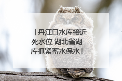 丹江口水库接近死水位 湖北省湖库抓紧蓄水保水