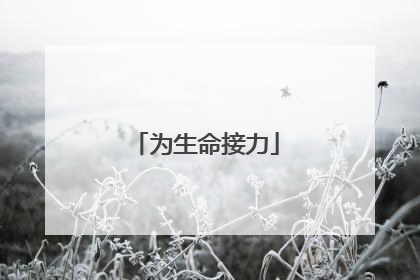 为生命接力
