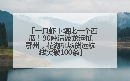 一只虾重堪比一个西瓜！90吨活波龙运抵鄂州，花湖机场货运航线突破100条