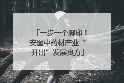 一步一个脚印！安图中药材产业“开出”发展良方