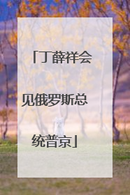 丁薛祥会见俄罗斯总统普京