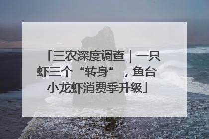 三农深度调查｜一只虾三个“转身”，鱼台小龙虾消费季升级