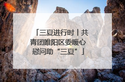 三夏进行时丨共青团睢阳区委暖心慰问助“三夏”