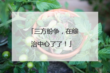 三方纷争，在综治中心了了！