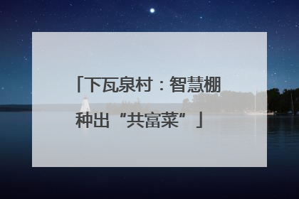 下瓦泉村：智慧棚种出“共富菜”