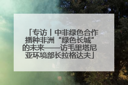 专访丨中非绿色合作播种非洲“绿色长城”的未来——访毛里塔尼亚环境部长拉格达夫