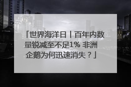 世界海洋日丨百年内数量锐减至不足1% 非洲企鹅为何迅速消失？