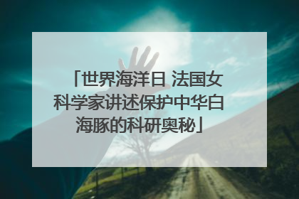 世界海洋日 法国女科学家讲述保护中华白海豚的科研奥秘