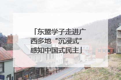 东盟学子走进广西多地“沉浸式”感知中国式民主