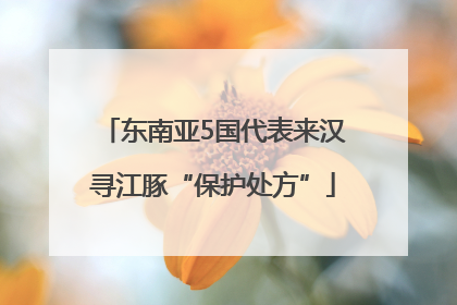 东南亚5国代表来汉寻江豚“保护处方”