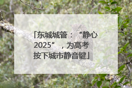 东城城管：“静心2025”，为高考按下城市静音键