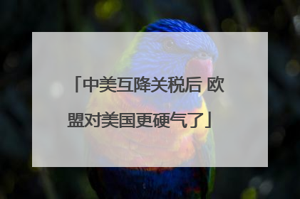 中美互降关税后 欧盟对美国更硬气了