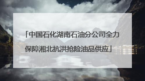 中国石化湖南石油分公司全力保障湘北抗洪抢险油品供应