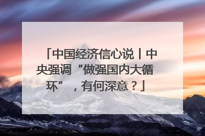 中国经济信心说丨中央强调“做强国内大循环”，有何深意？