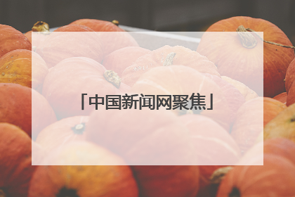 中国新闻网聚焦