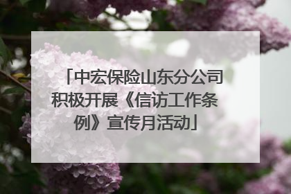 中宏保险山东分公司积极开展《信访工作条例》宣传月活动