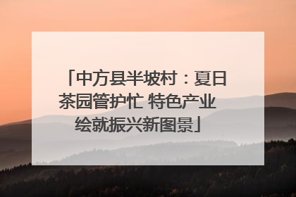 中方县半坡村：夏日茶园管护忙 特色产业绘就振兴新图景