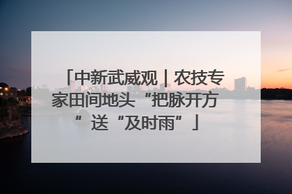 中新武威观｜农技专家田间地头“把脉开方”送“及时雨”