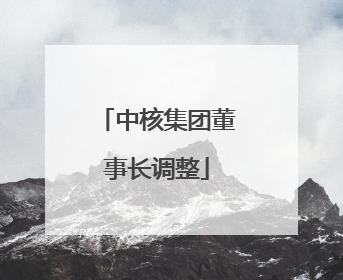 中核集团董事长调整