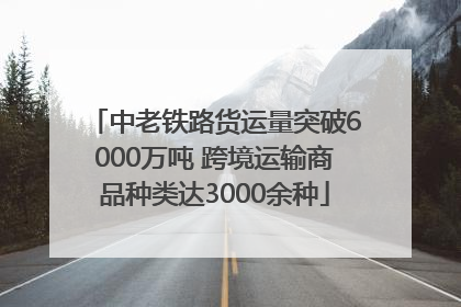 中老铁路货运量突破6000万吨 跨境运输商品种类达3000余种