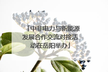 中非电力与新能源发展合作交流对接活动在岳阳举办