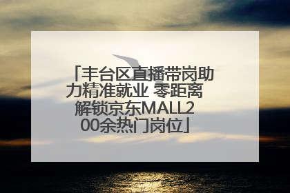 丰台区直播带岗助力精准就业 零距离解锁京东MALL200余热门岗位