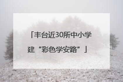 丰台近30所中小学建“彩色学安路”
