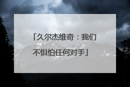 久尔杰维奇：我们不惧怕任何对手