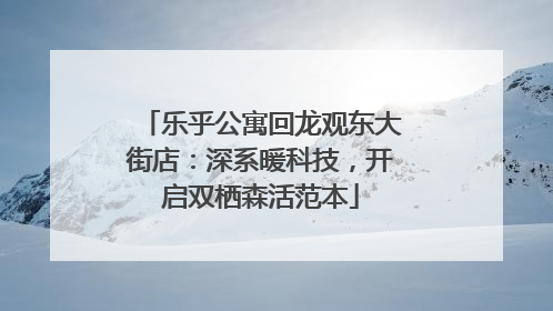 乐乎公寓回龙观东大街店：深系暖科技，开启双栖森活范本