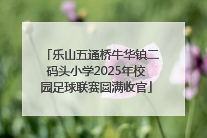 乐山五通桥牛华镇二码头小学2025年校园足球联赛圆满收官