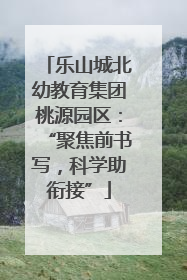 乐山城北幼教育集团桃源园区：“聚焦前书写，科学助衔接”