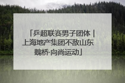 乒超联赛男子团体｜上海地产集团不敌山东魏桥·向尚运动