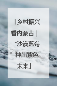 乡村振兴看内蒙古｜“沙漠蓝莓”种出紫色未来