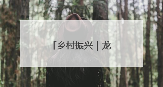 乡村振兴｜龙亭区：车厘子串起“甜蜜链”