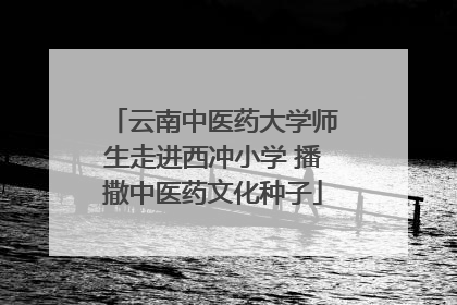 云南中医药大学师生走进西冲小学 播撒中医药文化种子