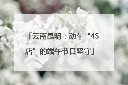 云南昆明：动车“4S店”的端午节日坚守