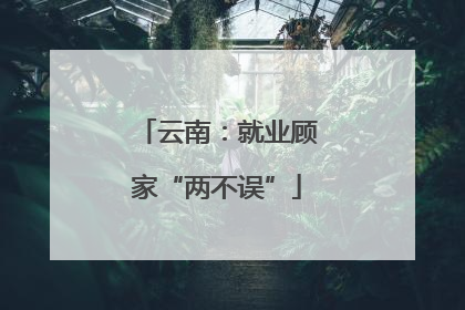 云南：就业顾家“两不误”