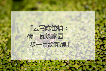 云霄陈岱镇：一砖一瓦筑家园 一步一景绘新颜
