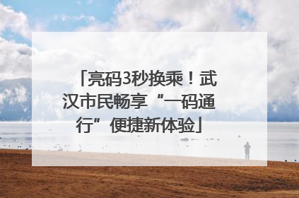 亮码3秒换乘！武汉市民畅享“一码通行”便捷新体验