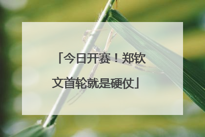 今日开赛！郑钦文首轮就是硬仗
