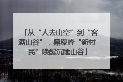 从“人去山空”到“客满山谷”，黑麋峰“新村民”唤醒沉睡山谷