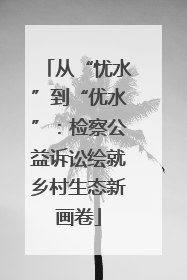 从“忧水”到“优水”：检察公益诉讼绘就乡村生态新画卷