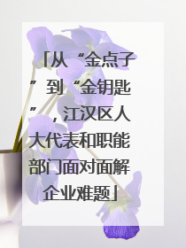 从“金点子”到“金钥匙”，江汉区人大代表和职能部门面对面解企业难题