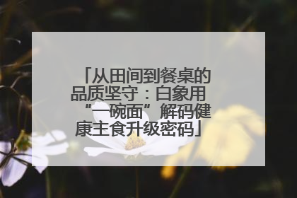 从田间到餐桌的品质坚守：白象用“一碗面”解码健康主食升级密码