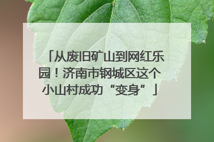 从废旧矿山到网红乐园！济南市钢城区这个小山村成功“变身”