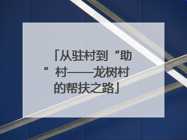 从驻村到“助”村——龙树村的帮扶之路
