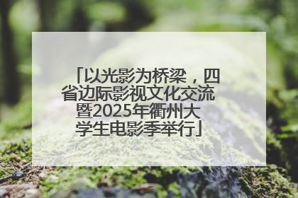 以光影为桥梁，四省边际影视文化交流暨2025年衢州大学生电影季举行