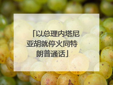 以总理内塔尼亚胡就停火同特朗普通话
