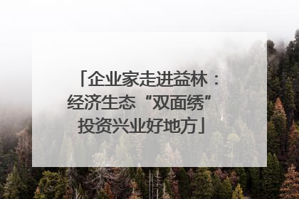 企业家走进益林：经济生态“双面绣” 投资兴业好地方