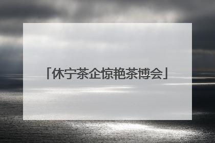 休宁茶企惊艳茶博会